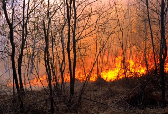 Мешканців Кривого Рогу попереджають про надзвичайну пожежну небезпеку