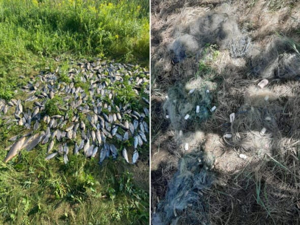 В Днепропетровской области инспекторы выявили 43 нарушения в сфере охраны водных биоресурсов
