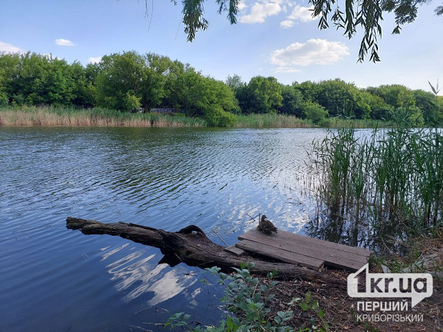 Расконсервировать скважину на Ингульце: криворожане зарегистрировали петицию