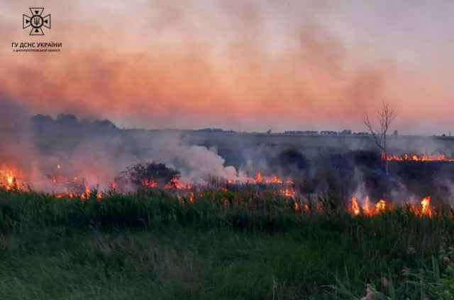 У Кривому Розі та районі вогнеборці загасили пожежі в екосистемах