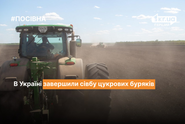 Аграрии Украины завершили сев яровых культур и сахарной свеклы