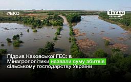 Подрыв Каховской ГЭС: в Минагрополитики назвали сумму ущерба сельскому хозяйству Украины