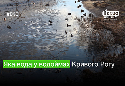 Главное фото новости