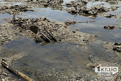 В Южное водохранилище, откуда берет воду Кривой Рог, перестала поступать вода