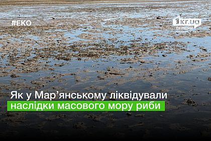 Екологічна катастрофа: про ліквідацію масового мору риби у Мар’янському