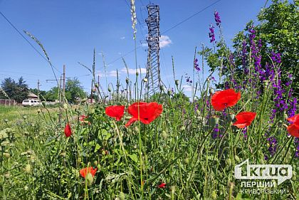 За неделю энергетики возобновили электроснабжение для 4,3 тысячи семей Днепропетровщины
