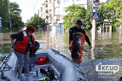 В результате подрыва оккупантами Каховской ГЭС погибли 17 человек