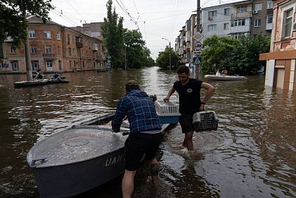На Днепропетровщине разыскивают хозяев четырехлапых, которых эвакуировали из Херсона