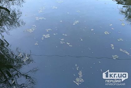 В Кривом Роге в водоеме нашли тело мужчины