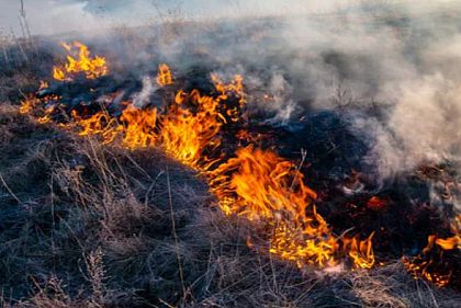 Криворожан предупреждают о чрезвычайной пожарной опасности