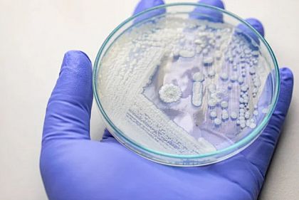 Через неделю на Днепропетровщине возросла заболеваемость кишечными инфекциями