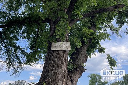 В одном из прудов Кривого Рога купаться не рекомендуют