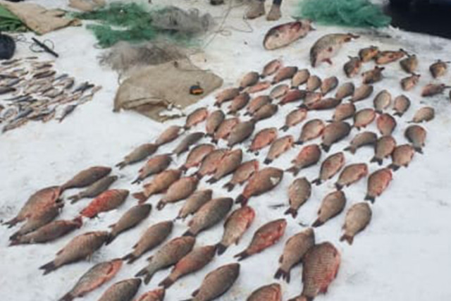 На Днепровском водохранилище мужчина незаконно наловил рыбы на 300 тысяч грн
