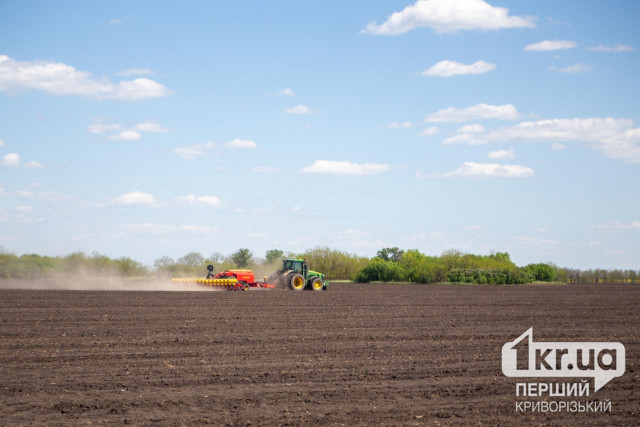 В Криворожском районе собрали более 600 тысяч тонн зерновых культур