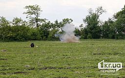 В течение недели в Криворожском районе ликвидировали почти 700 взрывоопасных предметов