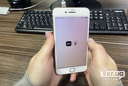 Какими услугами переселенцы могут воспользоваться онлайн