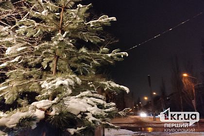 В Кривом Роге будут включать внешнее уличное освещение