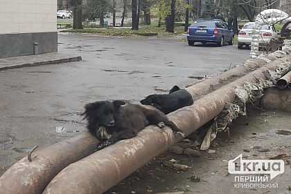 Теплоцентраль выставила жителям Кривого Рога счета за отопление