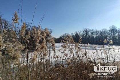 Погода в Кривом Роге 11 февраля