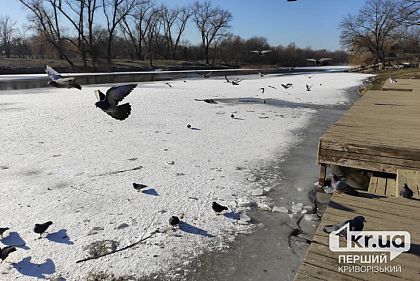 Ночь в Днепропетровской области прошла спокойно