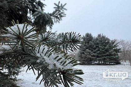 Погода в Кривом Роге 16 февраля