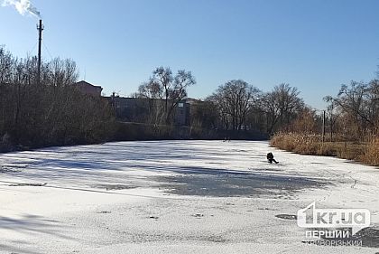 В Кривом Роге действует запрет на отлов щуки