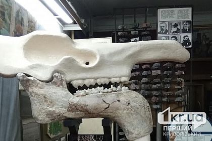 Криворожский историко-краеведческий музей получил гуманитарную помощь