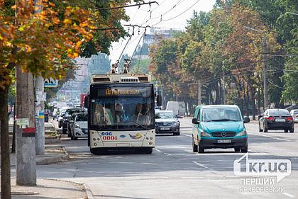 У Кривому Розі з початку року склали понад 700 протоколів на п`яних водіїв