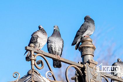 Ночь на Днепропетровщине прошла тихо