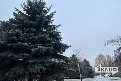 Погода в Кривом Роге 22 февраля