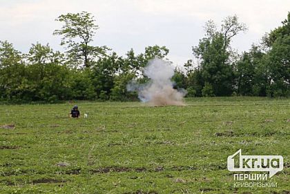 Протягом тижня у Криворізькому районі ліквідували майже 700 вибухонебезпечних предметів