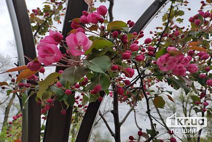 Каким будет первый месяц весны: прогноз погоды на март