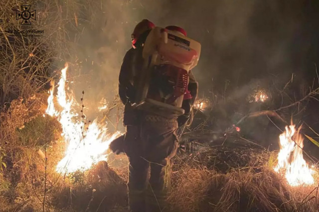 На Дніпропетровщині за добу вогнеборці ліквідували 52 пожежі в екосистемах