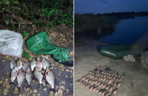 За сентябрь более 1 миллиона гривен убытков понесло рыбное хозяйство Днепропетровщины