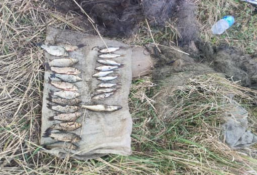 На Дніпропетровщині порушник наловив риби на майже 40 тисяч гривень збитків