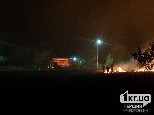 За неделю на Криворожье произошло 58 пожаров, 2 человека погибли