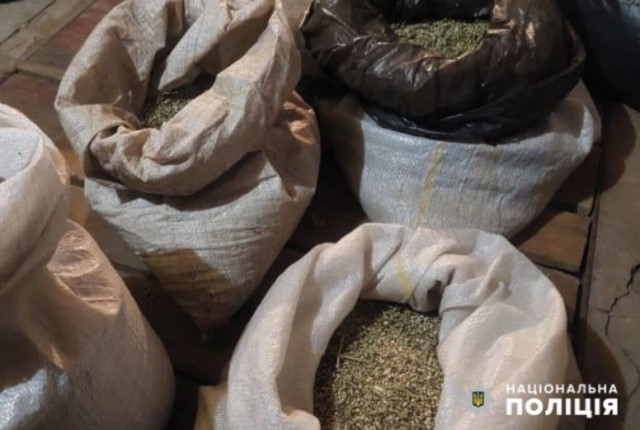 На Днепропетровщине полицейские разоблачили жителя на выращивании и сбыте марихуаны