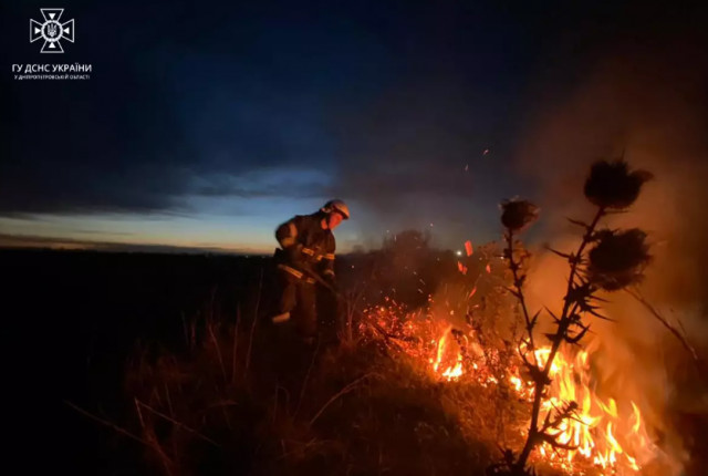 За добу в екосистемах Дніпропетровщини сталося 29 пожеж
