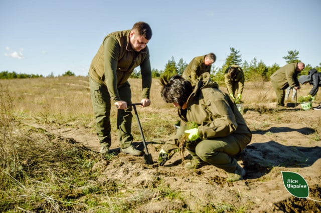 На Днепропетровщине высадили лес в память о погибших бойцах