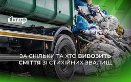 Кто ликвидирует свалки Кривого Рога