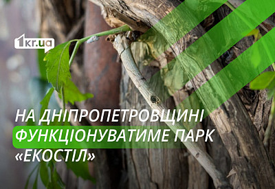 Головне фото новини