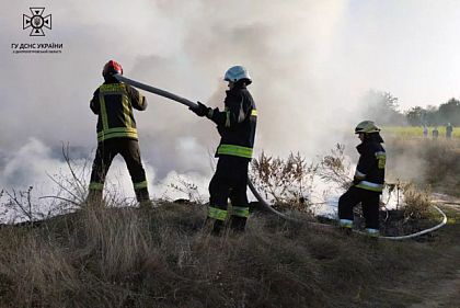 На Днепропетровщине за сутки пожарные ликвидировали 50 пожаров в экосистемах