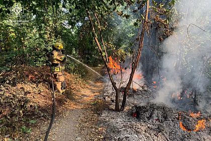 Криворожан предупреждают о пожарной опасности