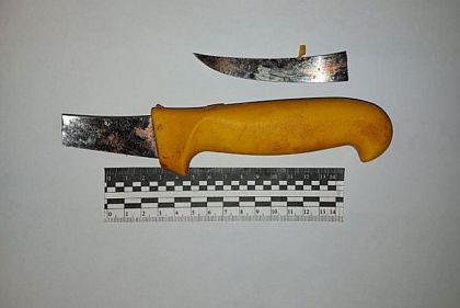 Убил и ограбил мужчину: на Днепропетровщине задержан подозреваемый