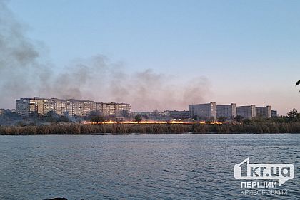 В Кривом Роге горит сухая трава