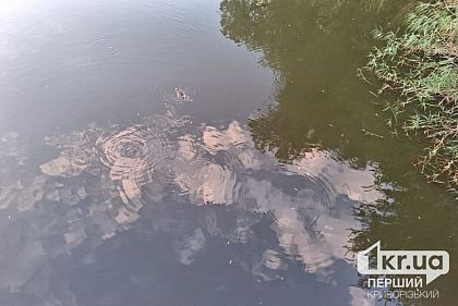 В Кривом Роге из реки Саксагань вытащили тело мужчины