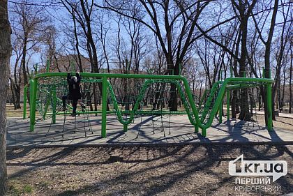 7 детей из Криворожского района отправятся в «Артек» на оздоровление