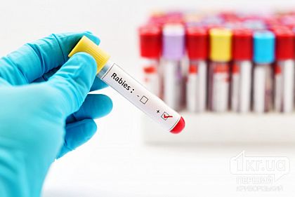 На Днепропетровщине втрое возросло количество случаев бешенства