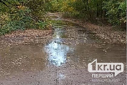 Жители Кривого Рога жалуются на забитые стоки и воду, текущую по улице
