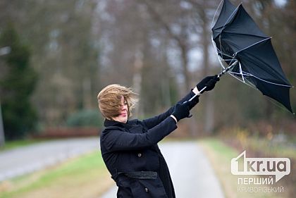 Криворожан предупреждают о сильных порывах ветра